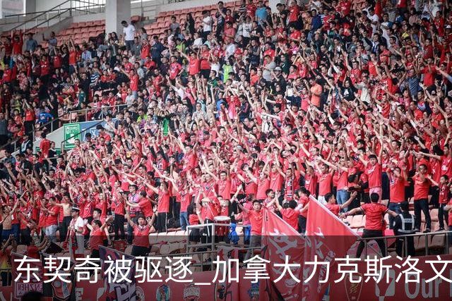 东契奇被驱逐 加拿大力克斯洛文尼亚晋级四强