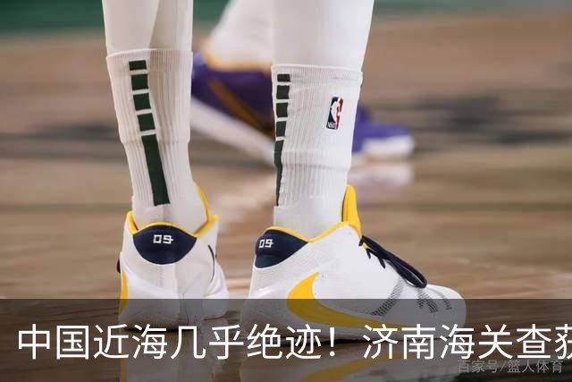 中国近海几乎绝迹！济南海关查获17只手镯，竟是由极危'国宝'制成