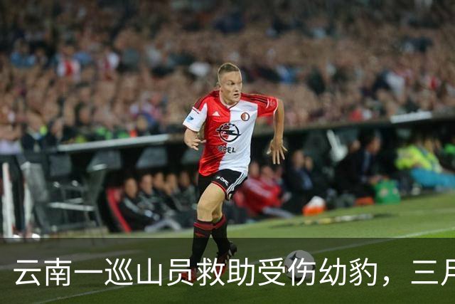 云南一巡山员救助受伤幼豹，三月后豹群夜闯村庄，村民惊醒