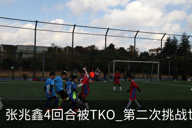 张兆鑫4回合被TKO 第二次挑战世界金腰带失败
