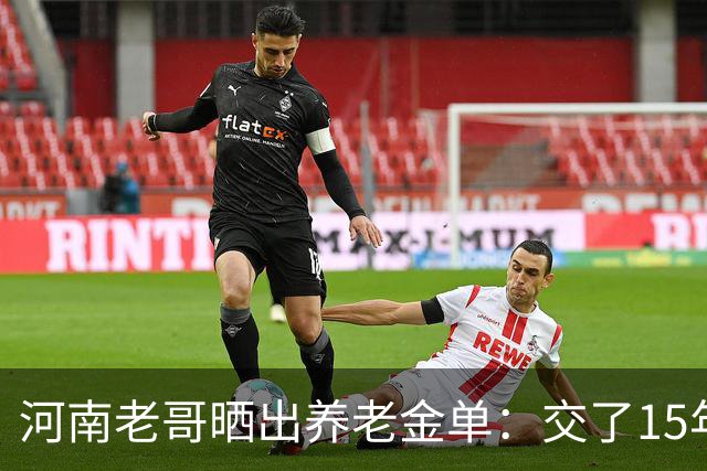 河南老哥晒出养老金单：交了15年最低档，看到金额，心里五味杂陈