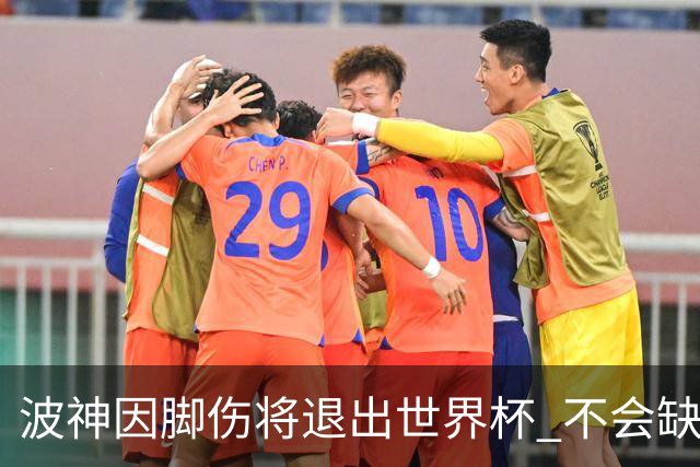 波神因脚伤将退出世界杯 不会缺席绿军训练营