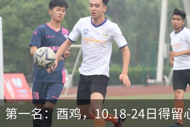 第一名：酉鸡，10.18-24日得留心了，重大抉择降临，命数已定